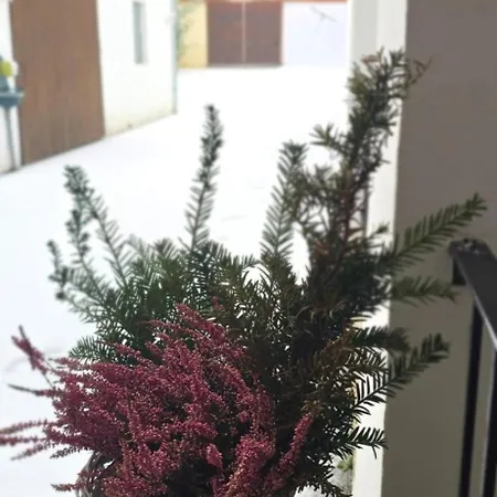 Bed & Breakfast Mittendrin