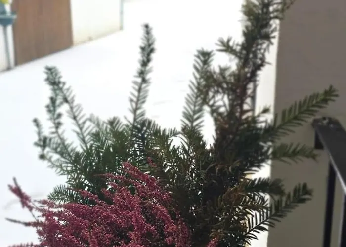 Bed & Breakfast Mittendrin